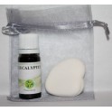 Pack diffuseur eucalyptus