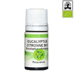 Eucalyptus citronné bio