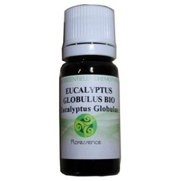 Eucalyptus globulus bio