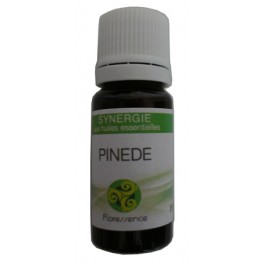 Synergie Pinède