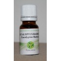 Eucalyptus radié bio 10ml