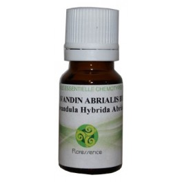 Lavandin abrialis bio 10ml