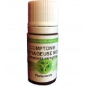 Comptonie Voyageuse bio